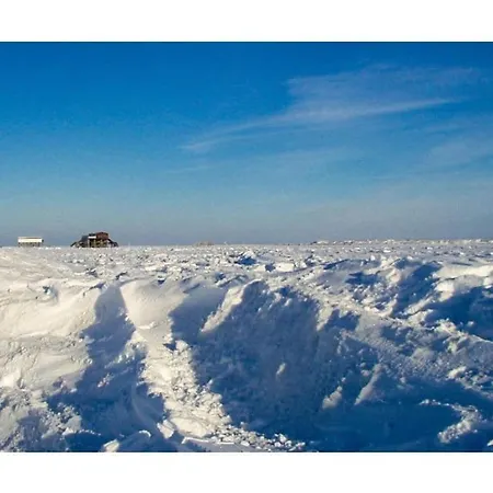 بيت للعطل Anchorage Comfortable Holiday